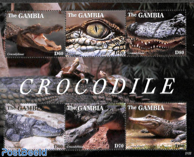 Crocodiles 6v m/s