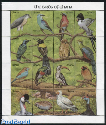 Birds 16v m/s