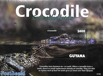 Crocodiles s/s