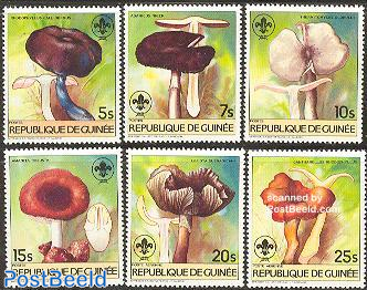 Mushrooms 6v