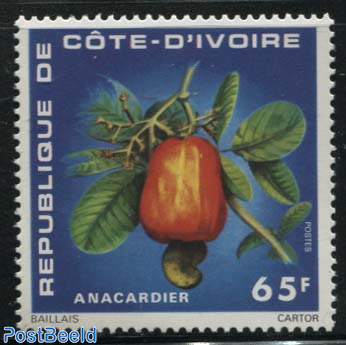 Fruits (Anacardier) 1v