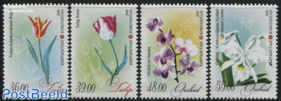 Orchids & Tulips 4v