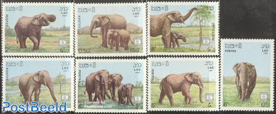 Elephants 7v