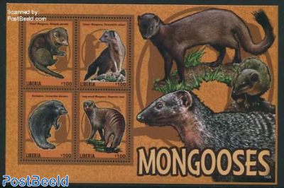 Mongoose 4v m/s