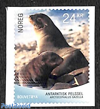Arctic seal 1v s-a