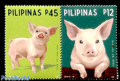 Year of the pig 2v [:]