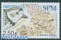 Birds, Le pluvier siffleur 1v