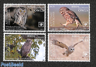 Owls 4v