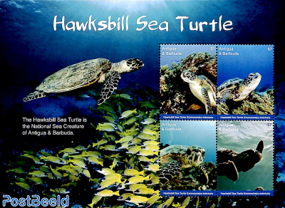 Hawksbill Sea Turtle 4v m/s