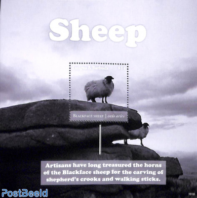 Sheep s/s