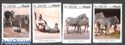 Zebra 4v