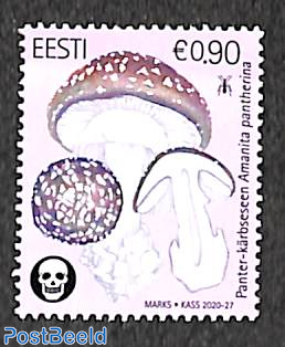 Mushroom, Amanita pantherina 1v