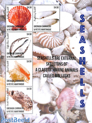 Seashells 5v m/s