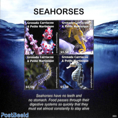 Seahorses 4v m/s