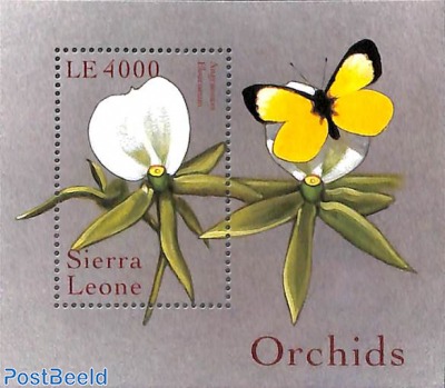 Orchids s/s, angraeum eburneum