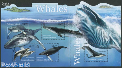 Whales 5v m/s