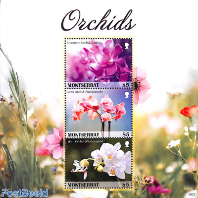 Orchids 3v m/s