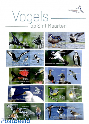 Birds on Sint Maarten 10v m/s s-a