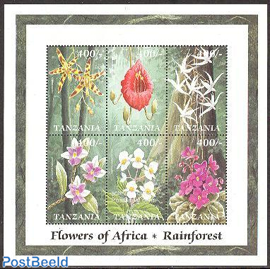 African flowers 6v m/s /Anselia Africana