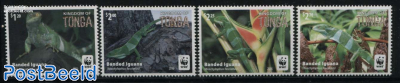 WWF, Banded Iguana 4v