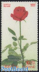 Rose 1v (on felt & fragrant)