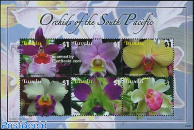 Orchids 6v m/s
