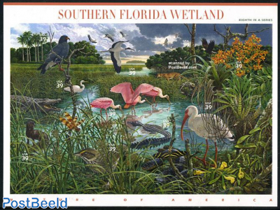 Southern Florida wetland 10v m/s s-a