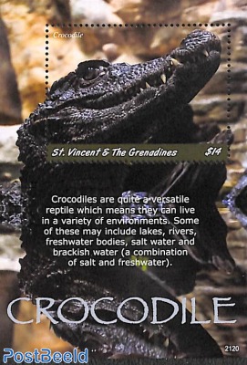 Crocodile s/s