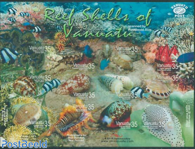 Reef shells 12v m/s s-a