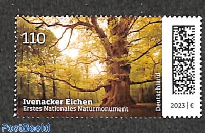 Ivenacker oaks 1v