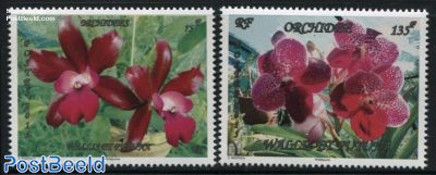 Orchids 2v